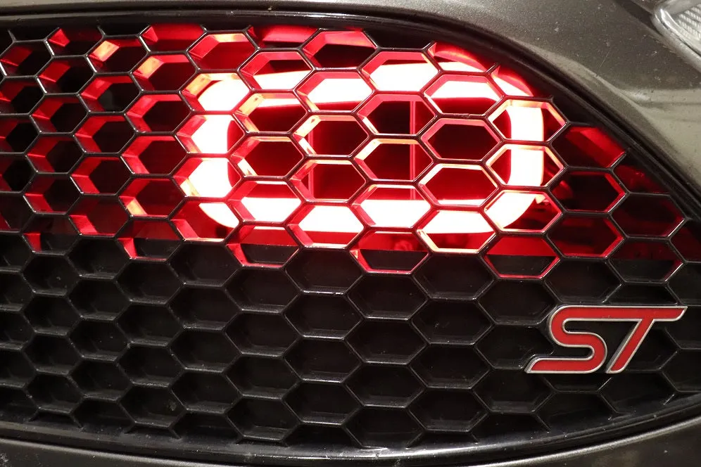 2014-2019 Ford Fiesta ST (2018-2019 MK7 and MK7.5 only) BIG MOUTH "LIT KIT" Ram Air Intake Snorkel