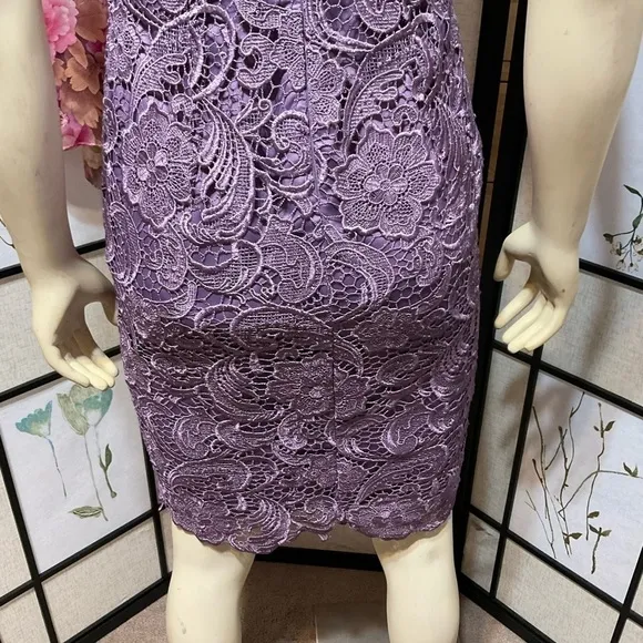 Adrianna Papell Purple Lace Sleeveless Sheath Dress with Built-In Bra Size 4