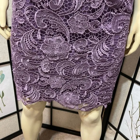 Adrianna Papell Purple Lace Sleeveless Sheath Dress with Built-In Bra Size 4