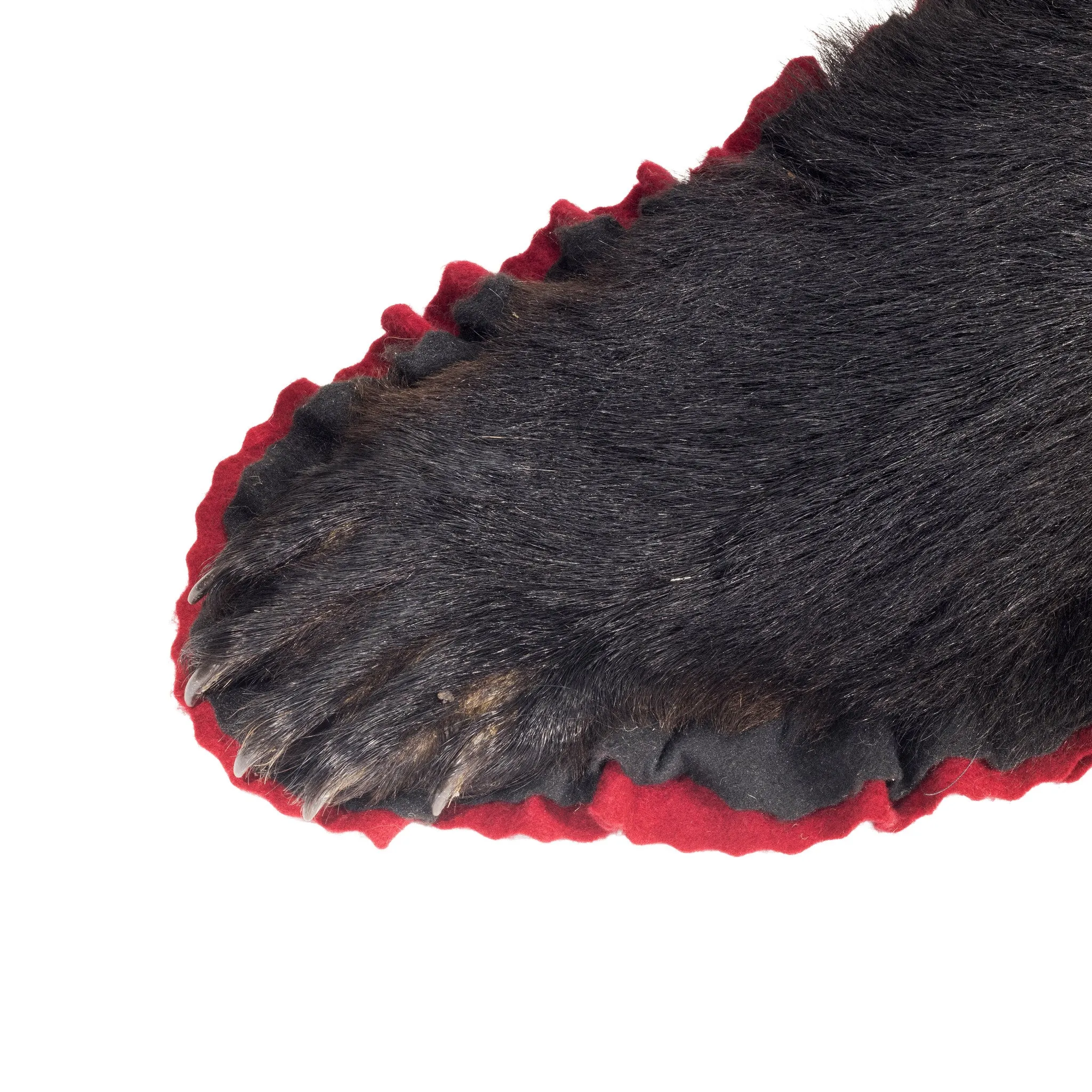 Bear Rug
