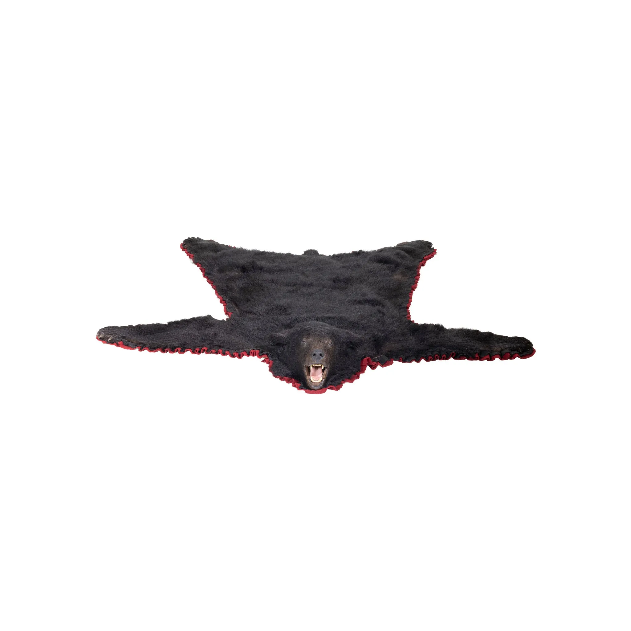Bear Rug