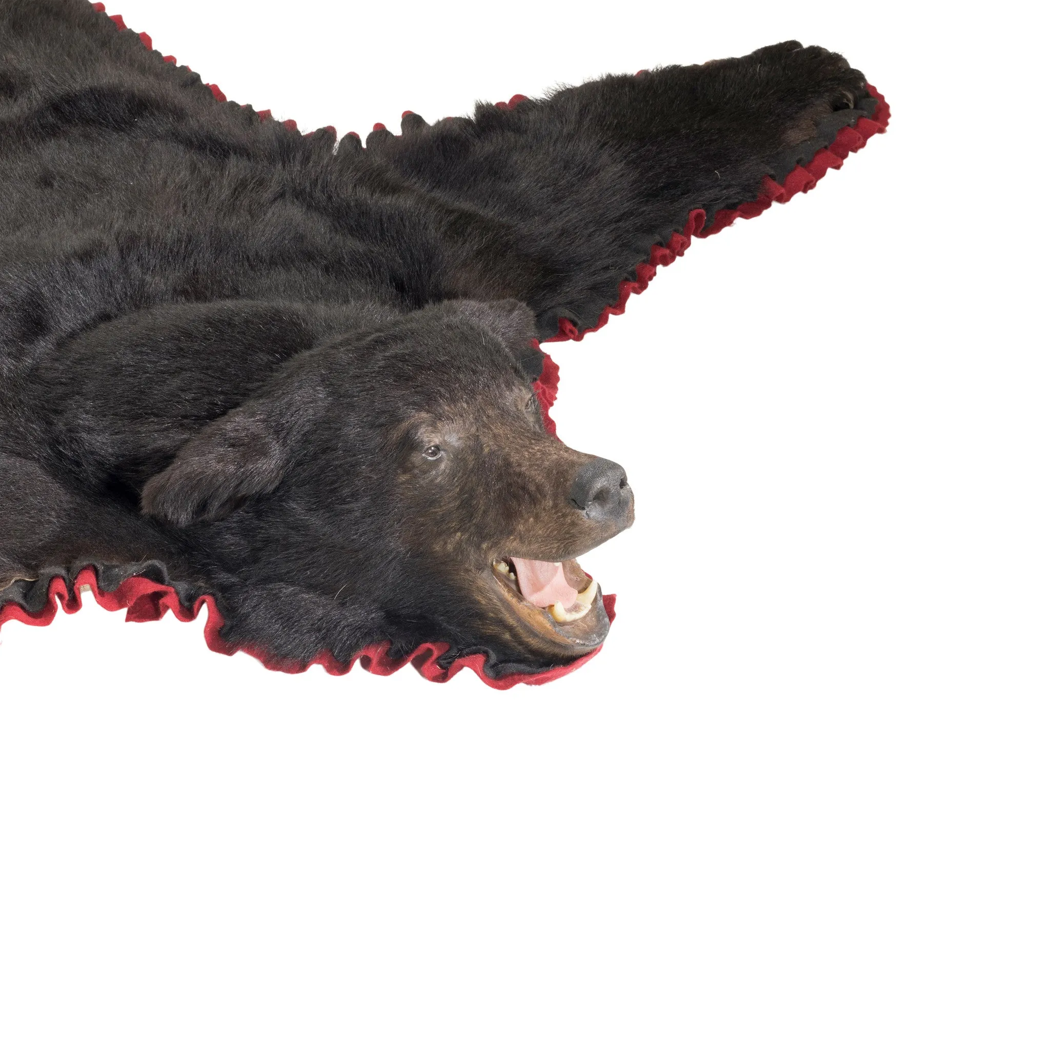 Bear Rug