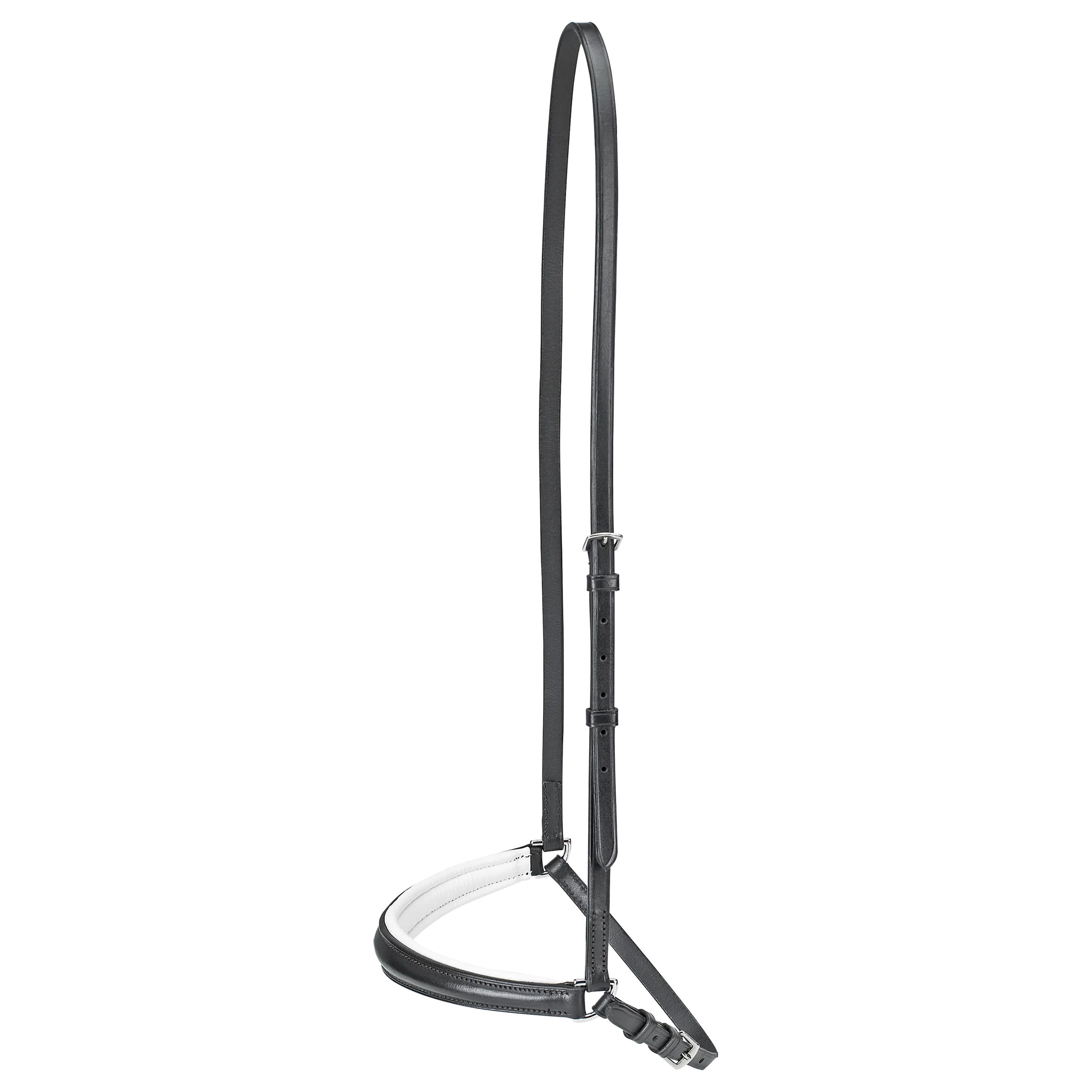 BUSSE  Dropped Noseband HANNOVER