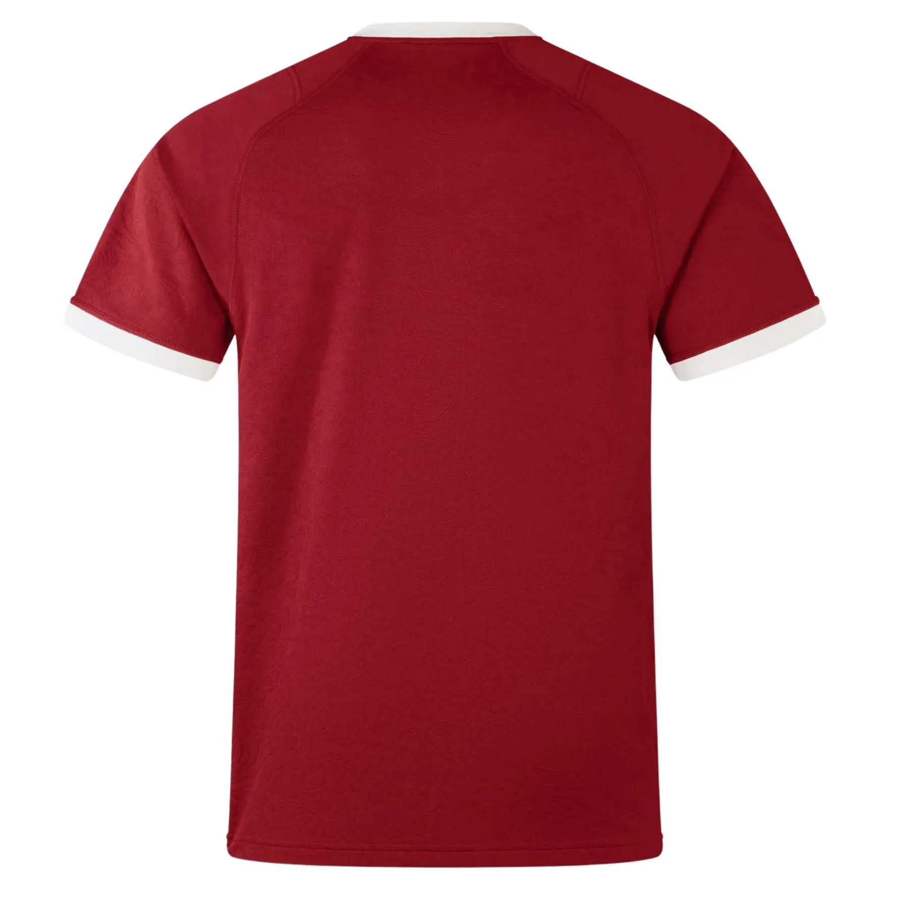 Canterbury British & Irish Lions Rugby Unisex Replica Jersey | Red | 2025