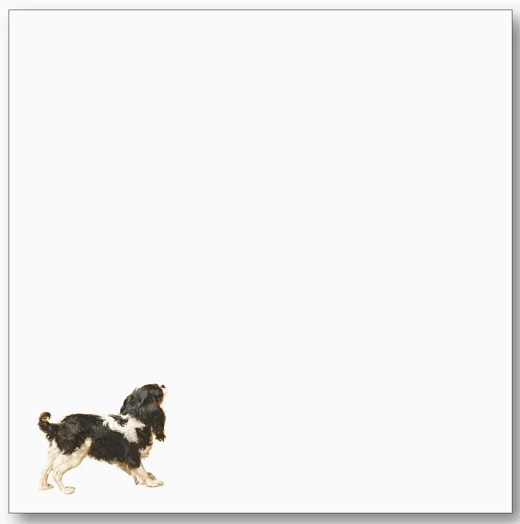 Cavalier Spaniel Notebook