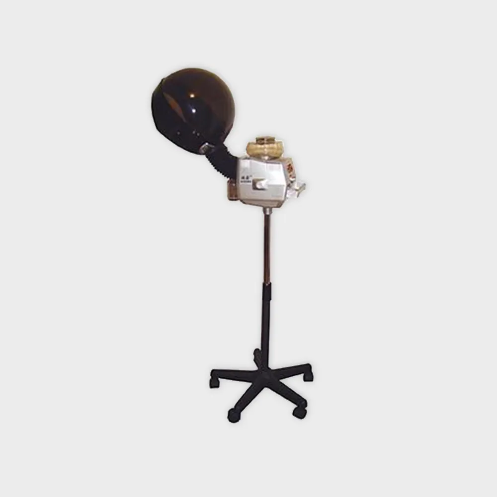 Chaoba Ionic Hair Steamer