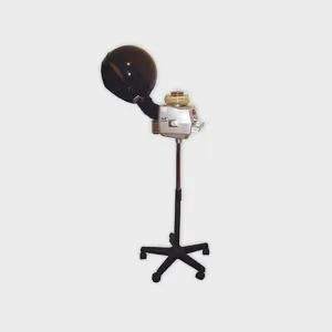 Chaoba Ionic Hair Steamer