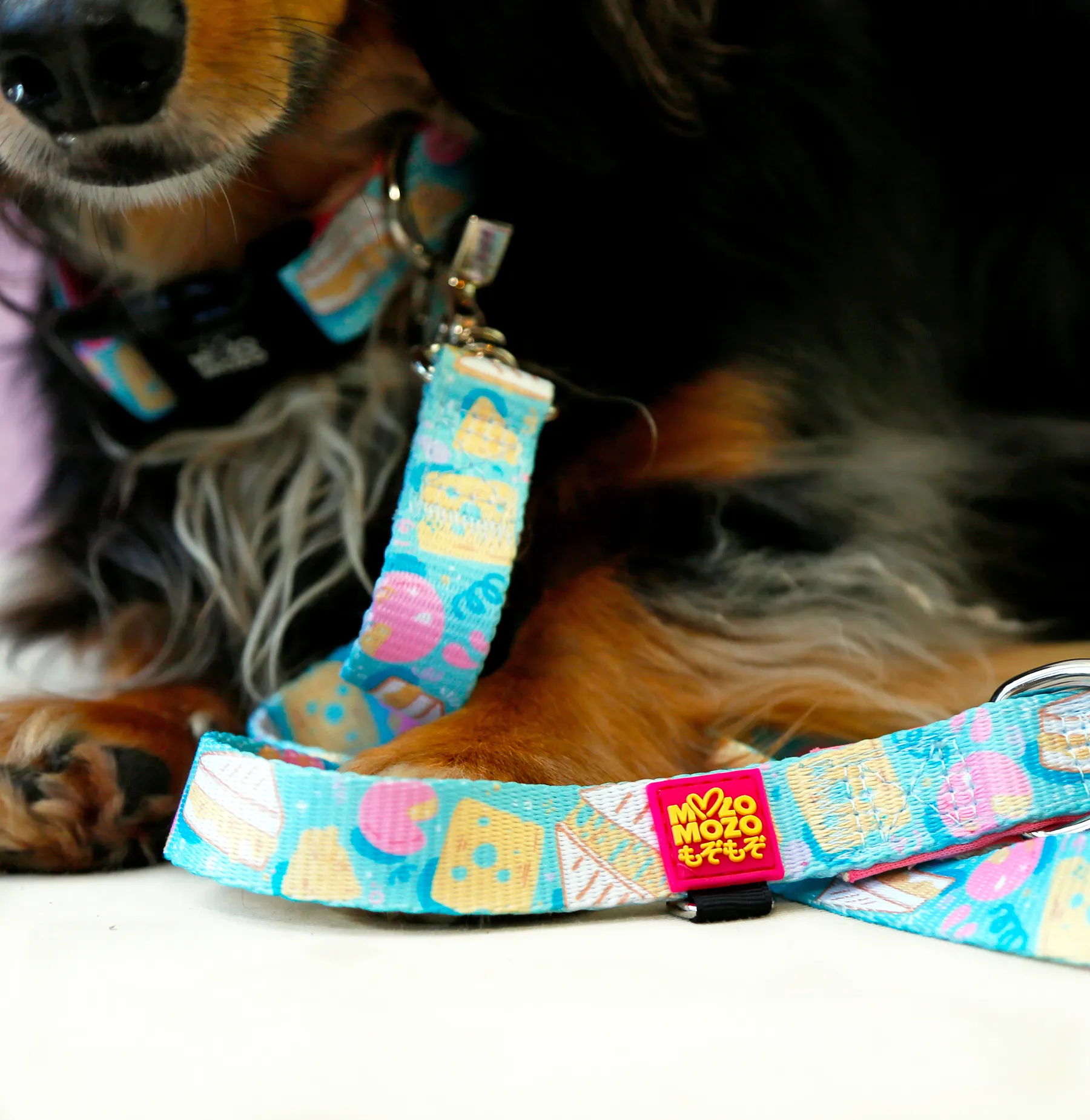 Cheese toastie collar