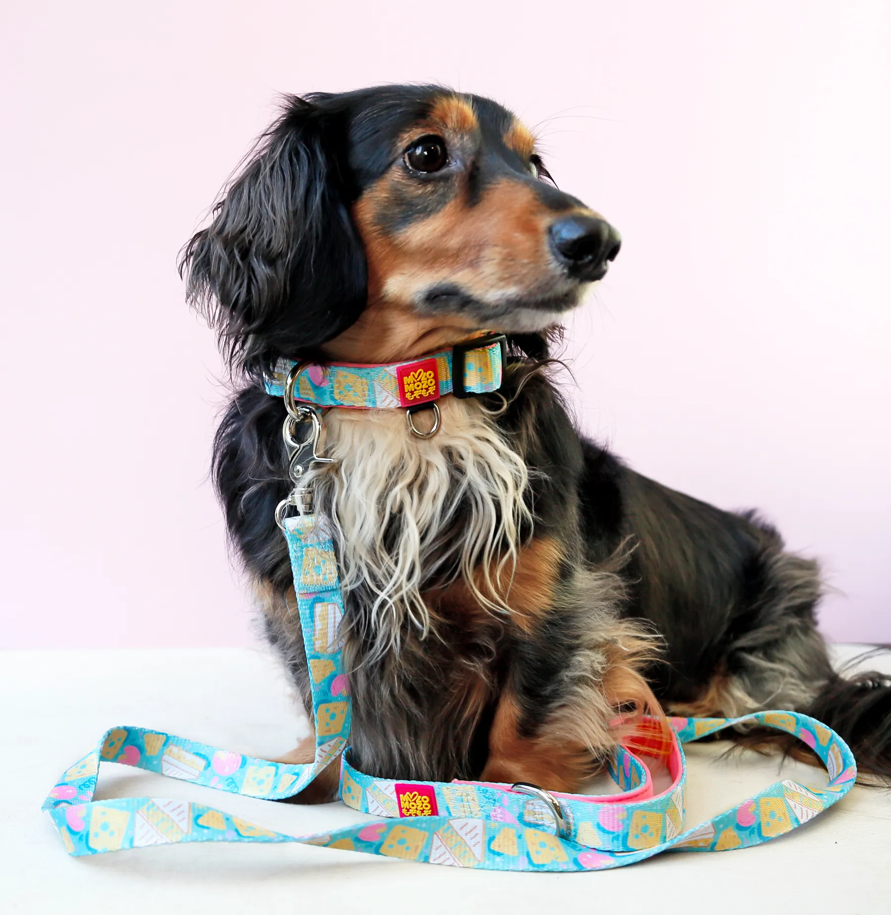 Cheese toastie collar