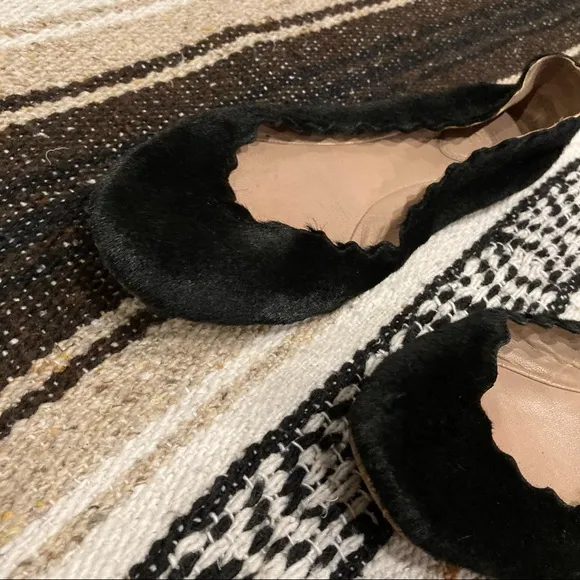 Chloe Rare Black Calf Hair Lauren Scalloped Ballet Flats