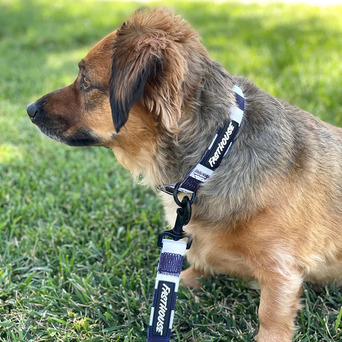 Clifford Dog Leash - Stripes