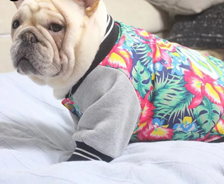 College Jacket For French Bulldogs