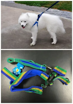 Dog Harness with Leash, Green/Blue/Yellow, Large
