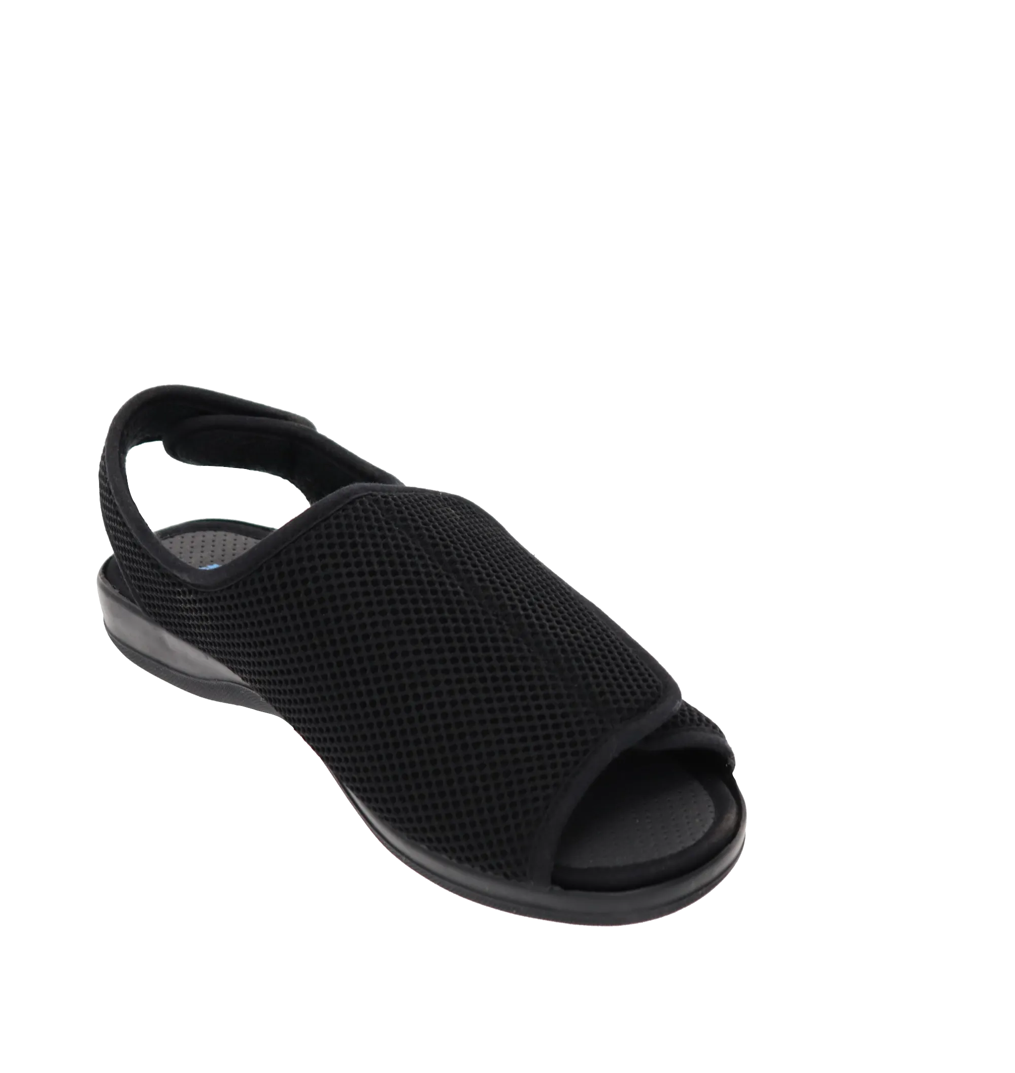 Dorothy Black Women's Slipper