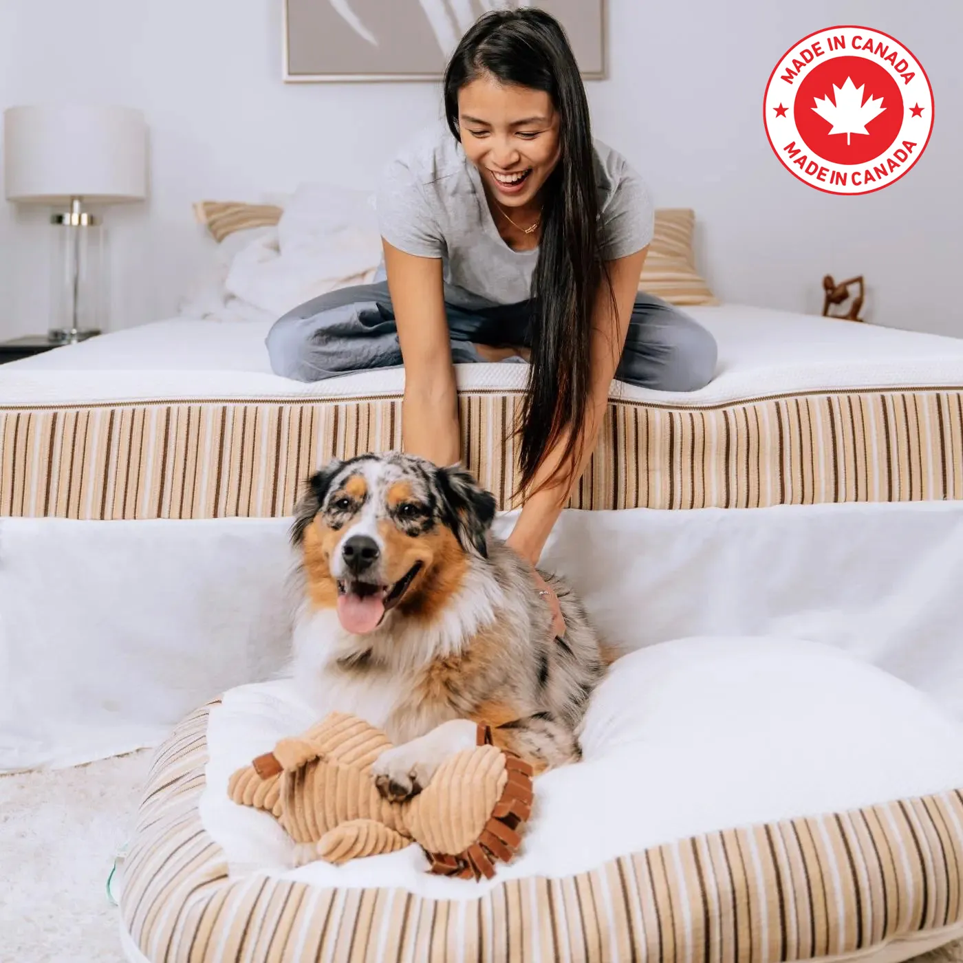 Essentia Classic REM5 Organic QUEEN Mattress for Adult