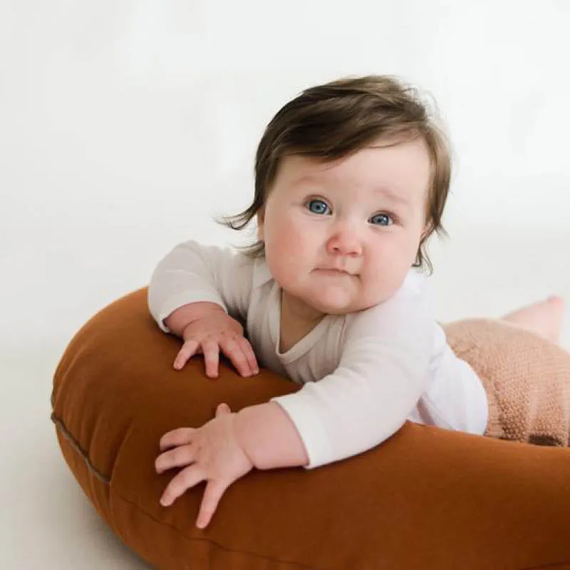 Feeding   Support Pillow