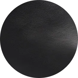 Fina Pointed Toe Flat Black