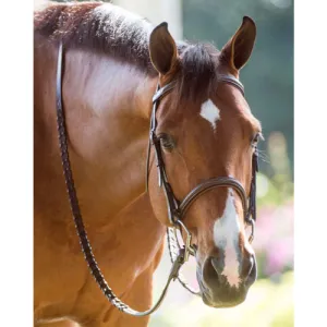 Hadfield's Raised Fancy Stitched Padded Bridle