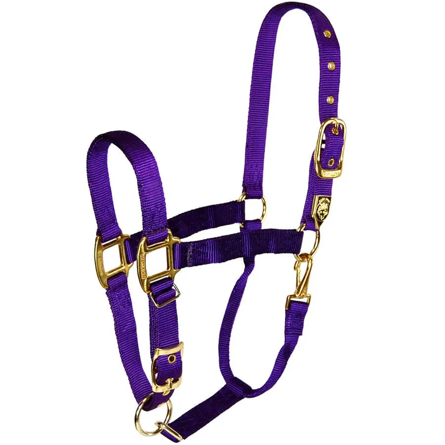 Hamilton Adjustable Chin Halter w/Snap