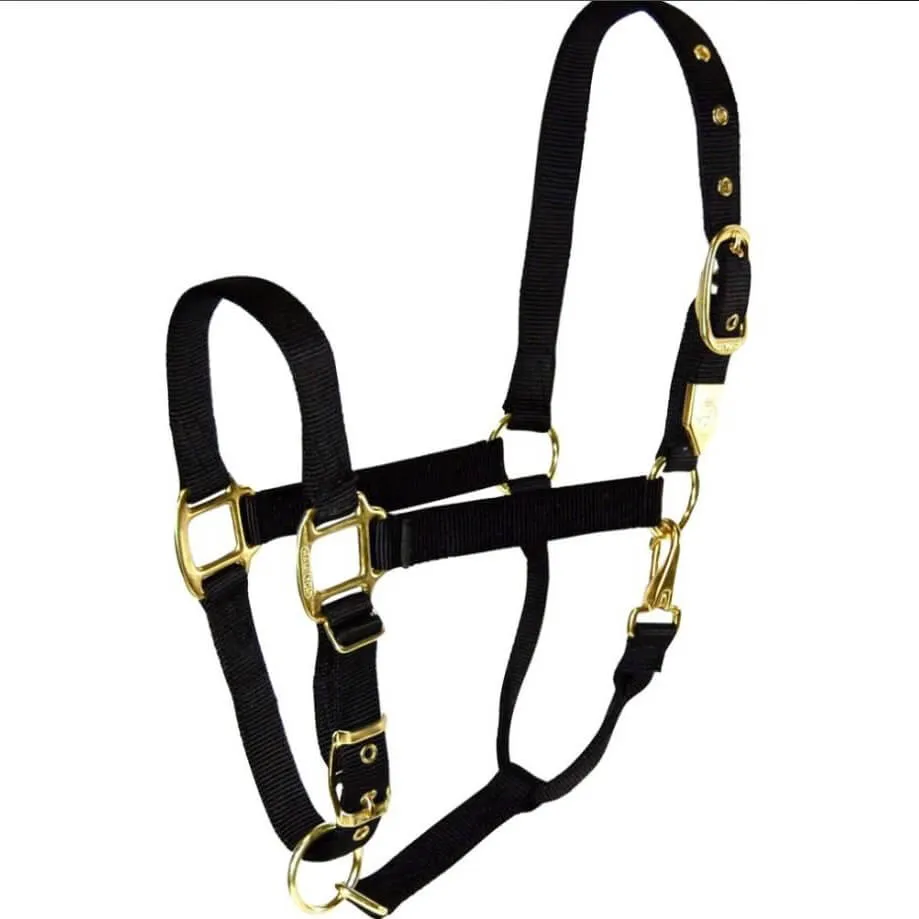 Hamilton Adjustable Chin Halter w/Snap