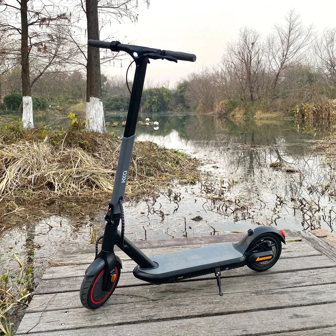 Heavy Duty 2025 Model 36V Freddo X1 E-Scooter Rubber Tires