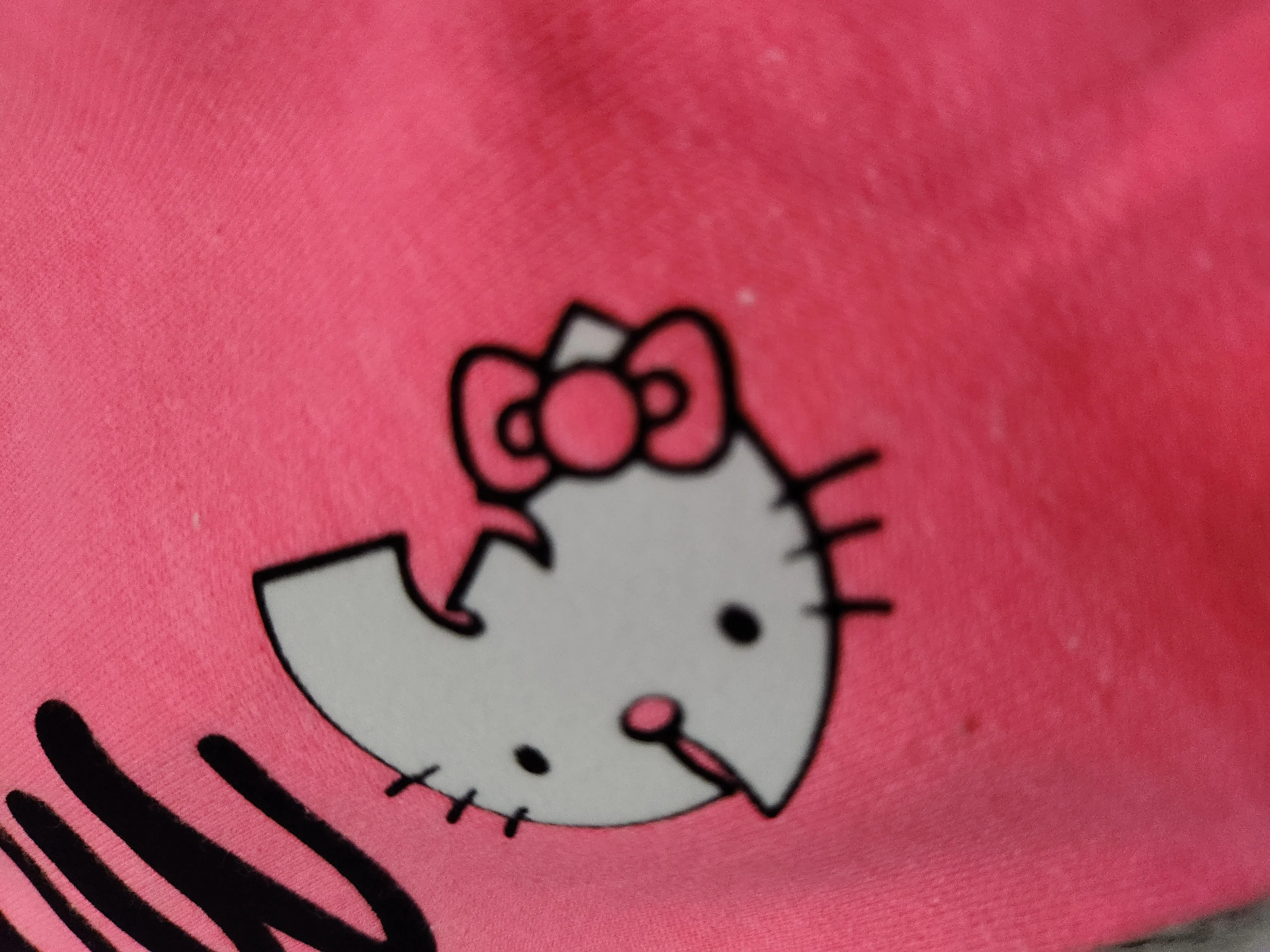 Hello Wu Hoodie (Pink)