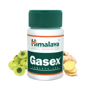 Himalaya Gasex - 100 Tablets