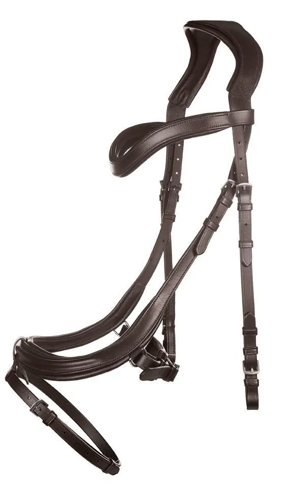 HKM Bridle Anatomic Version 2