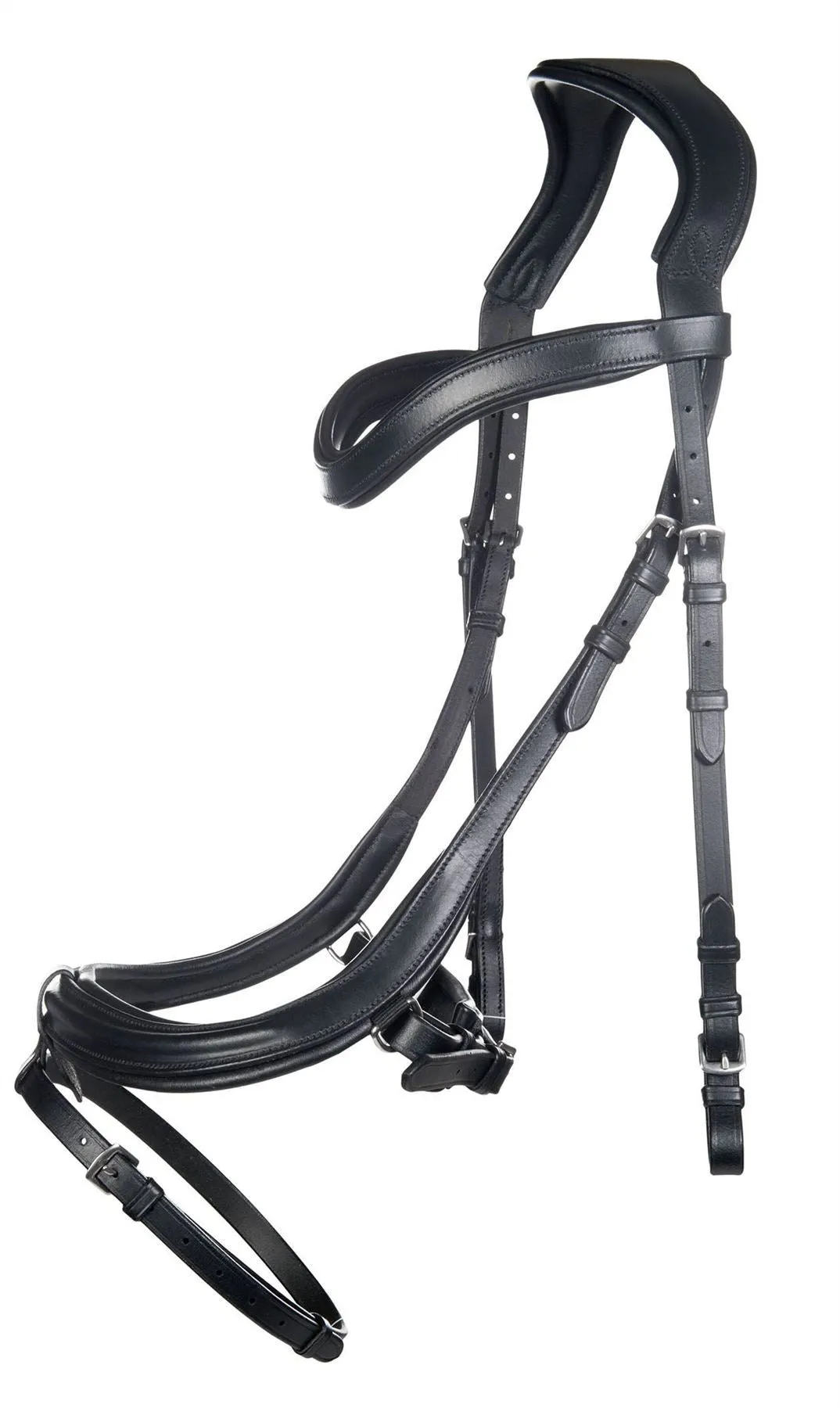 HKM Bridle Anatomic Version 2