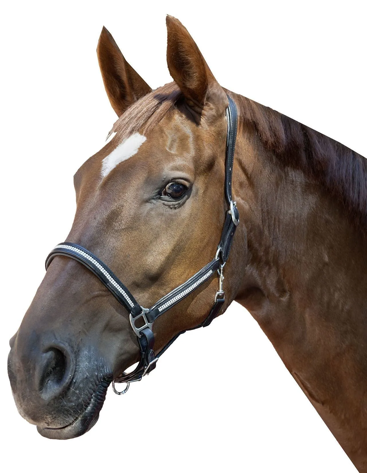HKM Leather Head Collar Diamond