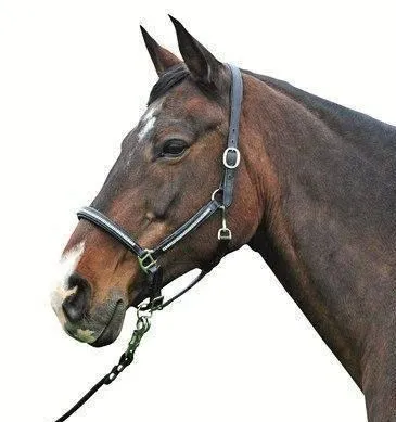 HKM Leather Head Collar Diamond