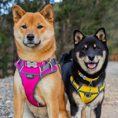 Hot Pink Padded Harness