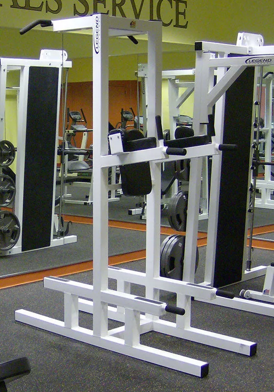 LEGEND FITNESS DIP, CHIN, AB, PUSHUP - 3153