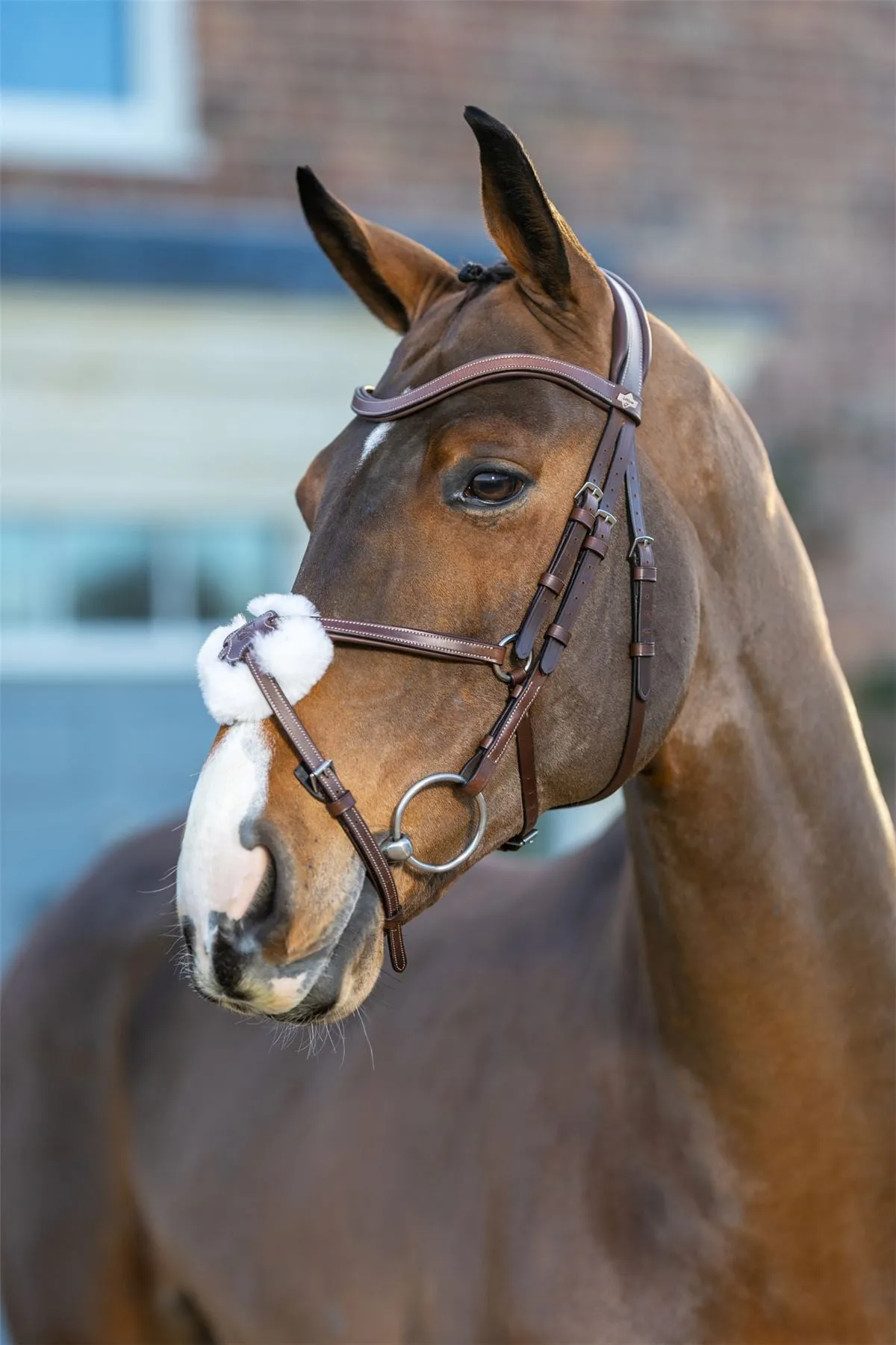 LeMieux Arika Grackle Bridle