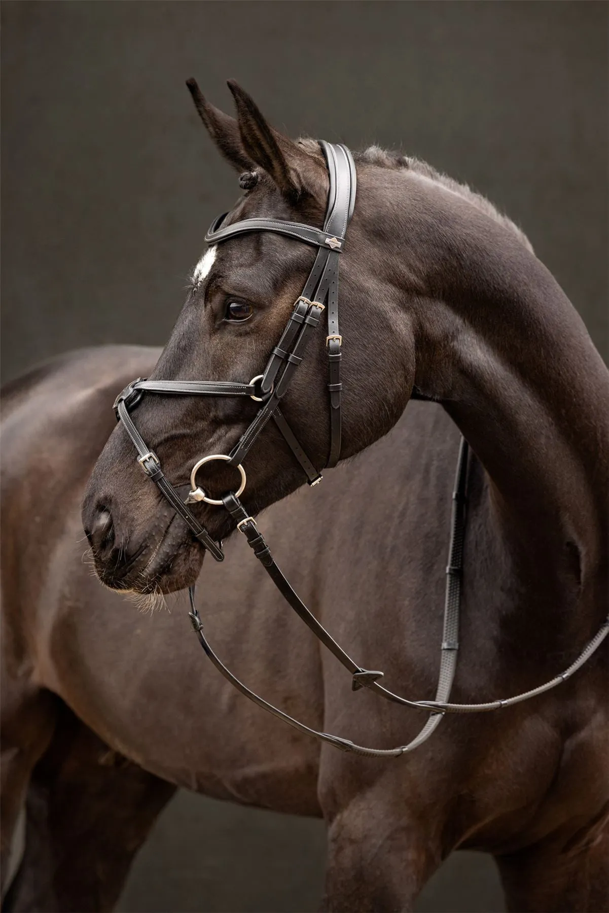 LeMieux Arika Grackle Bridle