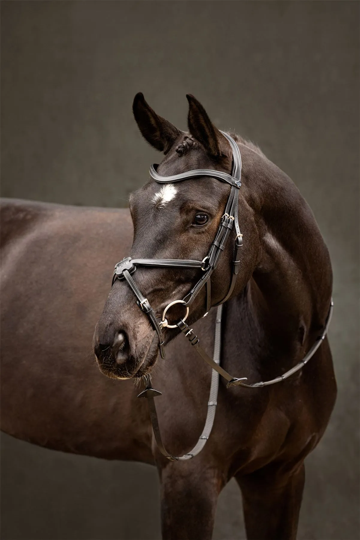 LeMieux Arika Grackle Bridle
