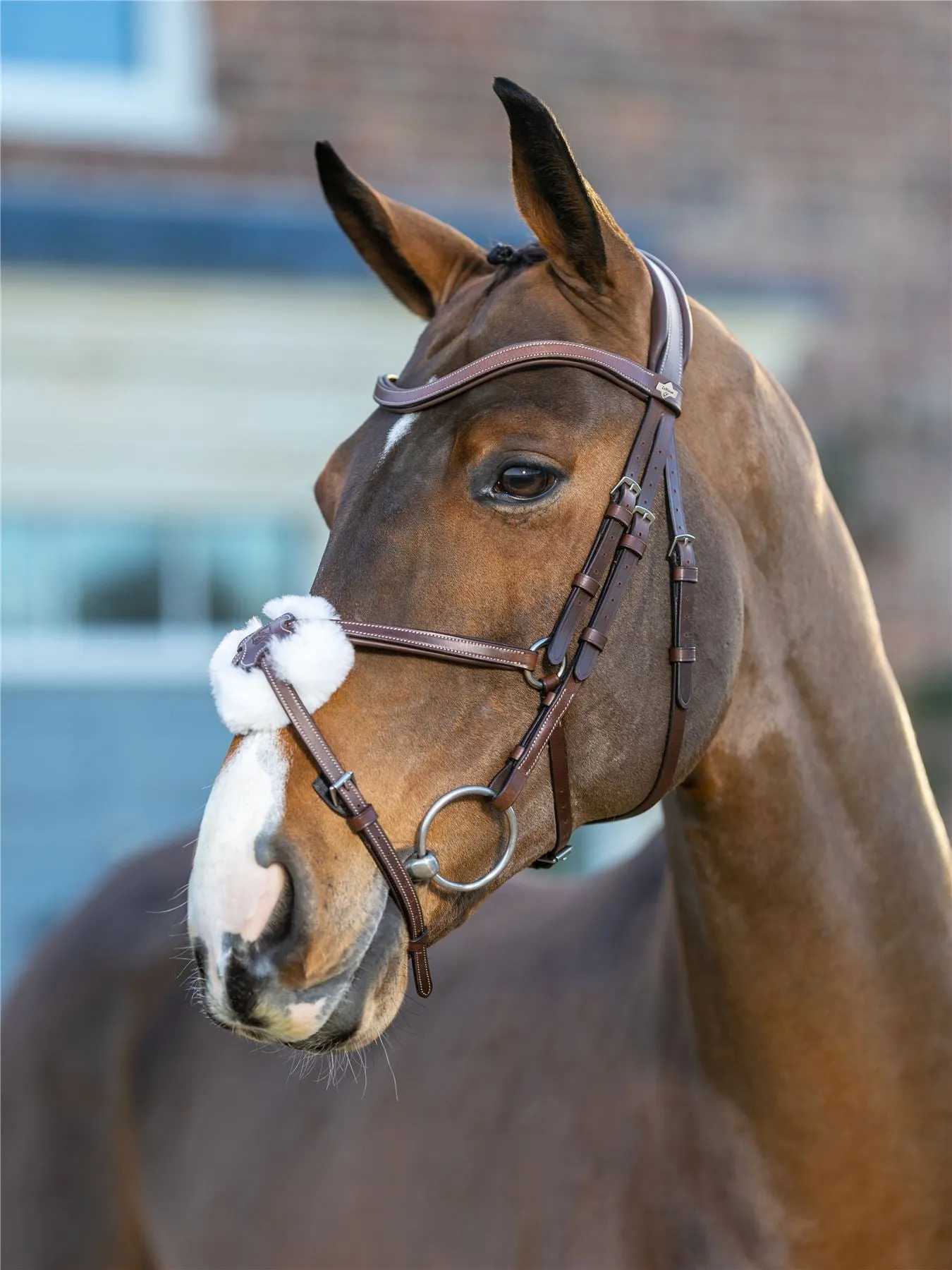LeMieux Arika Grackle Bridle