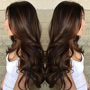 Long Natural Wave Brown Wigs Heat Resistant Wigs for Women