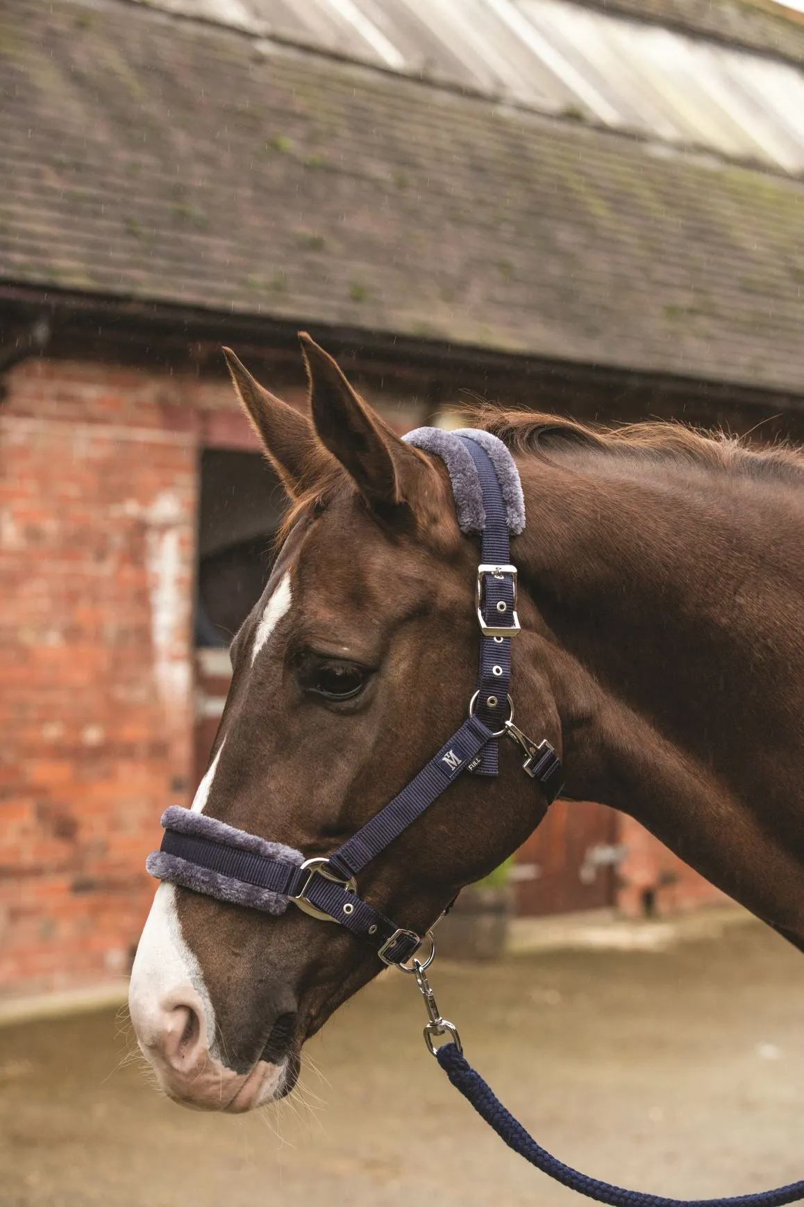 Mark Todd Fleece Lined Headcollar With Lead Rope