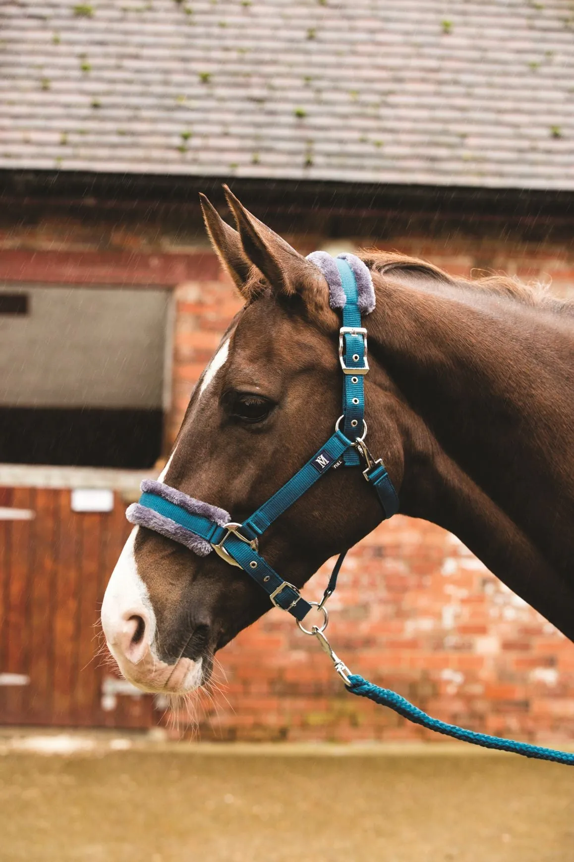 Mark Todd Fleece Lined Headcollar With Lead Rope