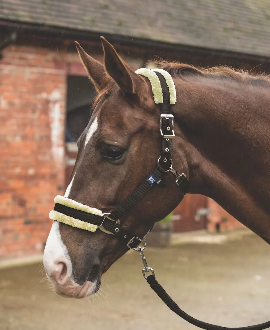 Mark Todd Fleece Lined Headcollar With Lead Rope