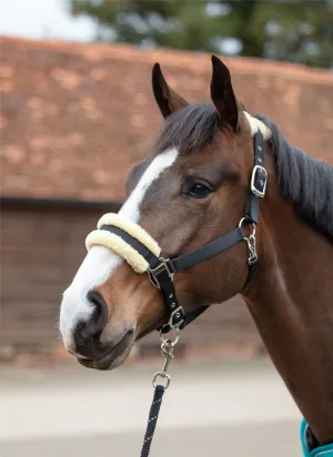 Mark Todd Fleece Lined Headcollar With Lead Rope