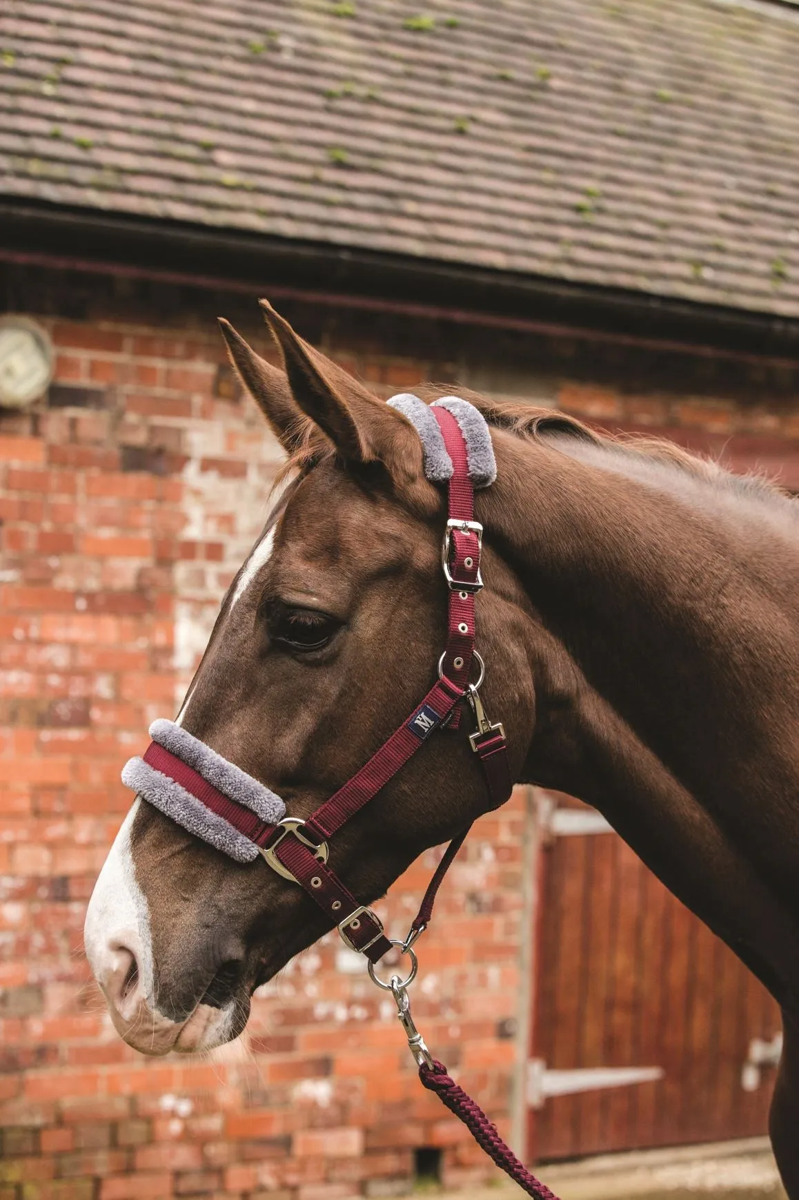 Mark Todd Fleece Lined Headcollar With Lead Rope