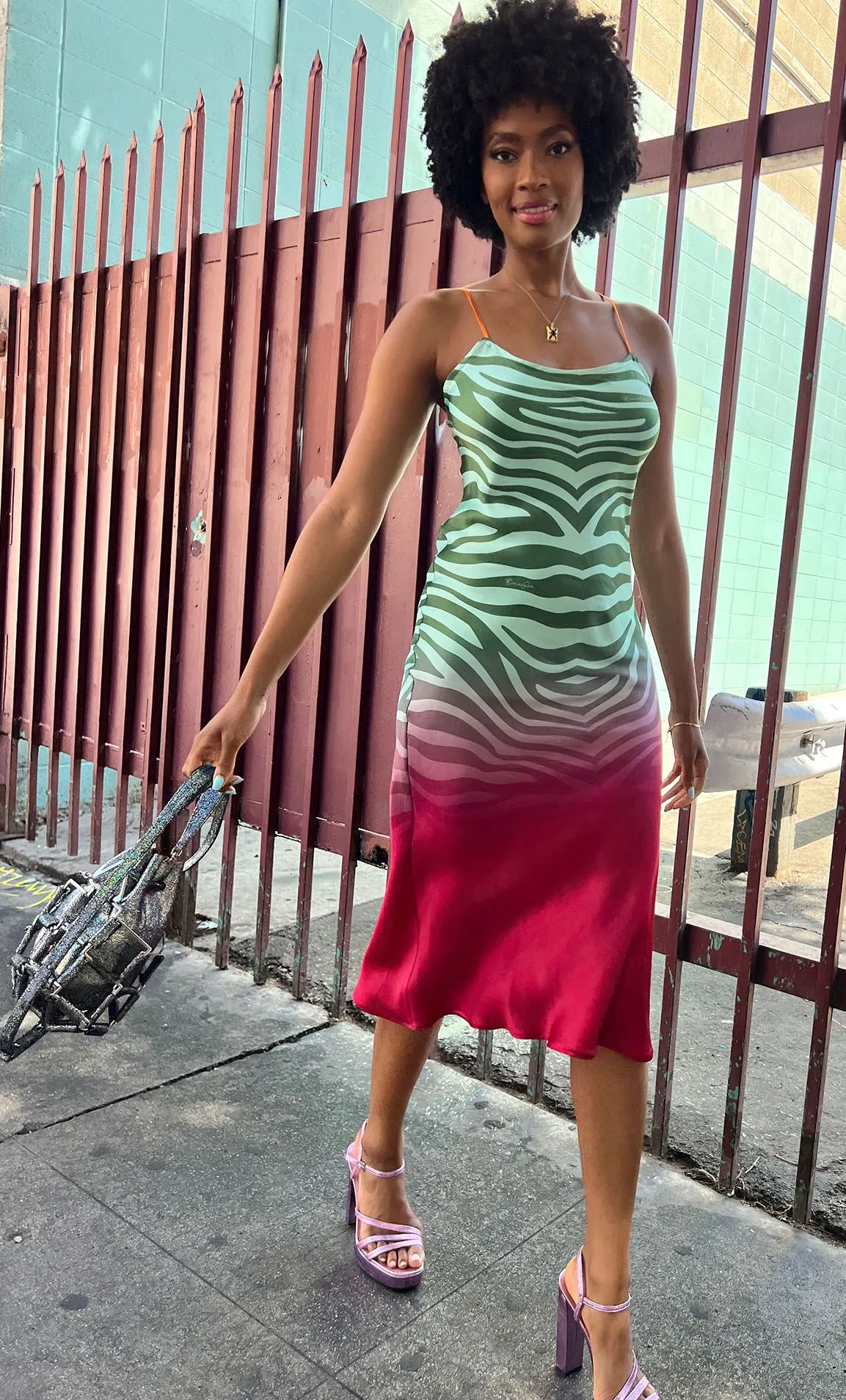 Mint Zebra Ombre Silk Slip Dress