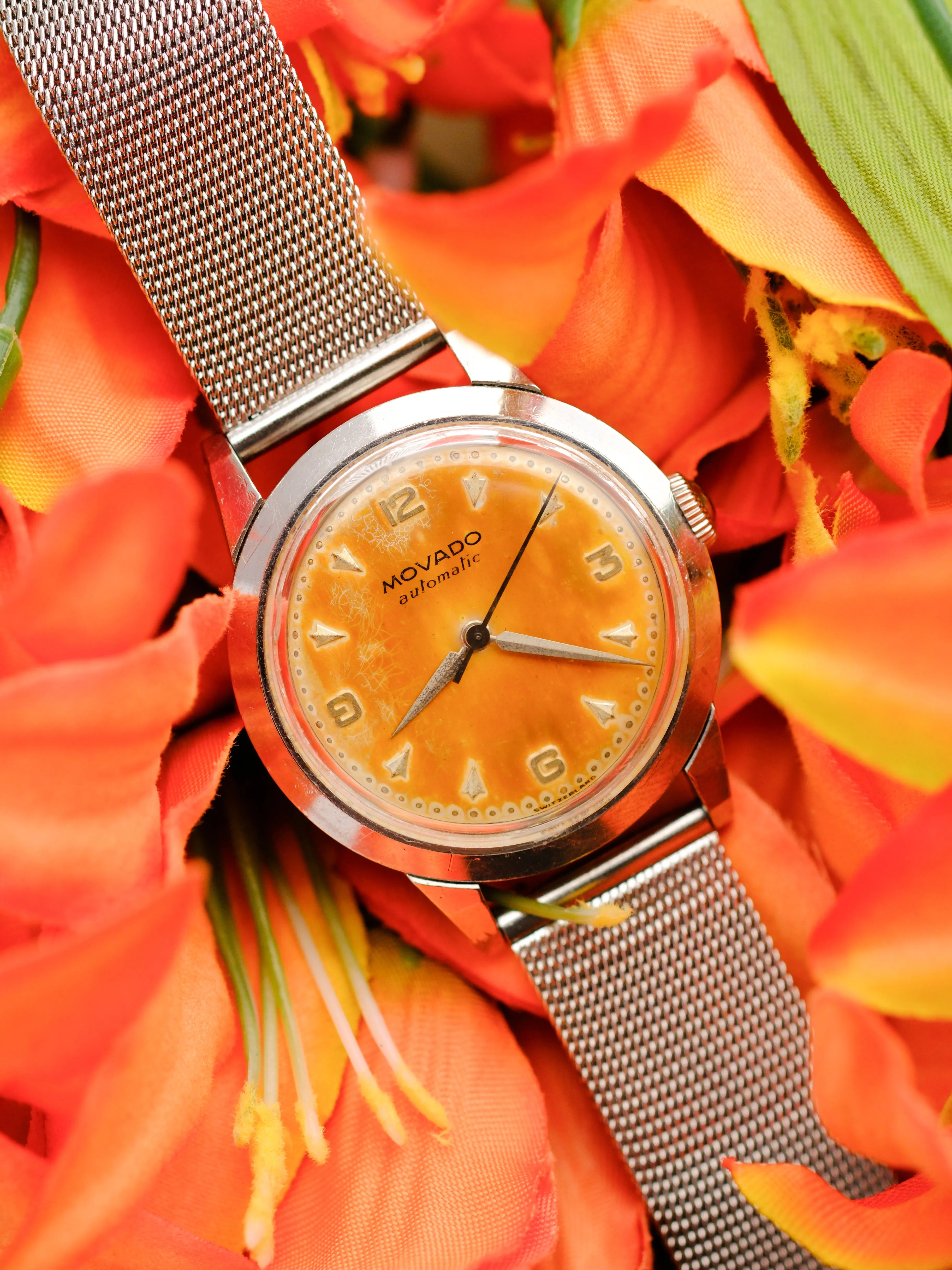 Movado Tropical Dial w/Bumper Movement 7203 - 1950's