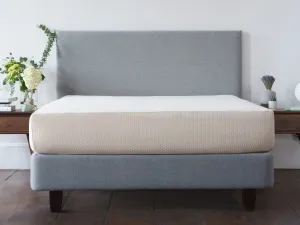 Organic Cotton Mattress Protector
