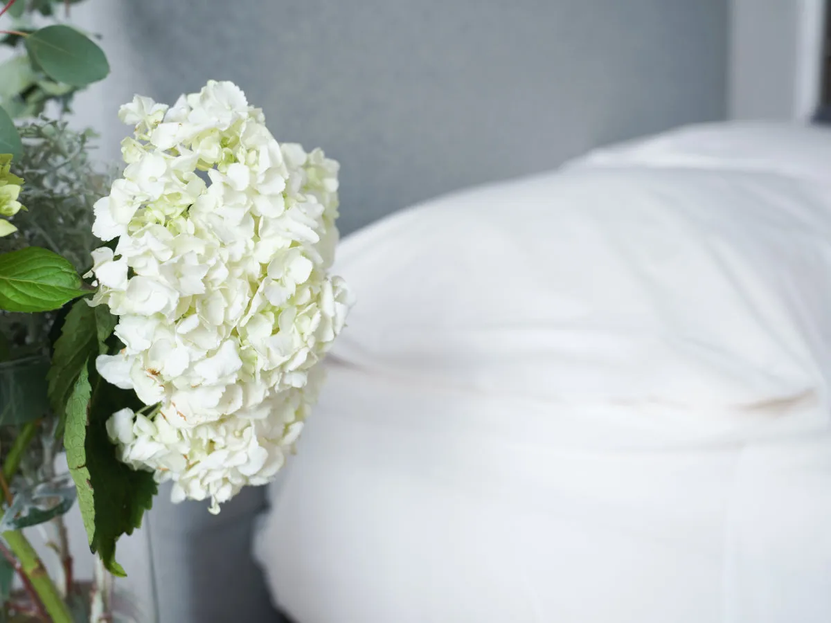 Organic Cotton Sheet Set 2023 Model - Clearance