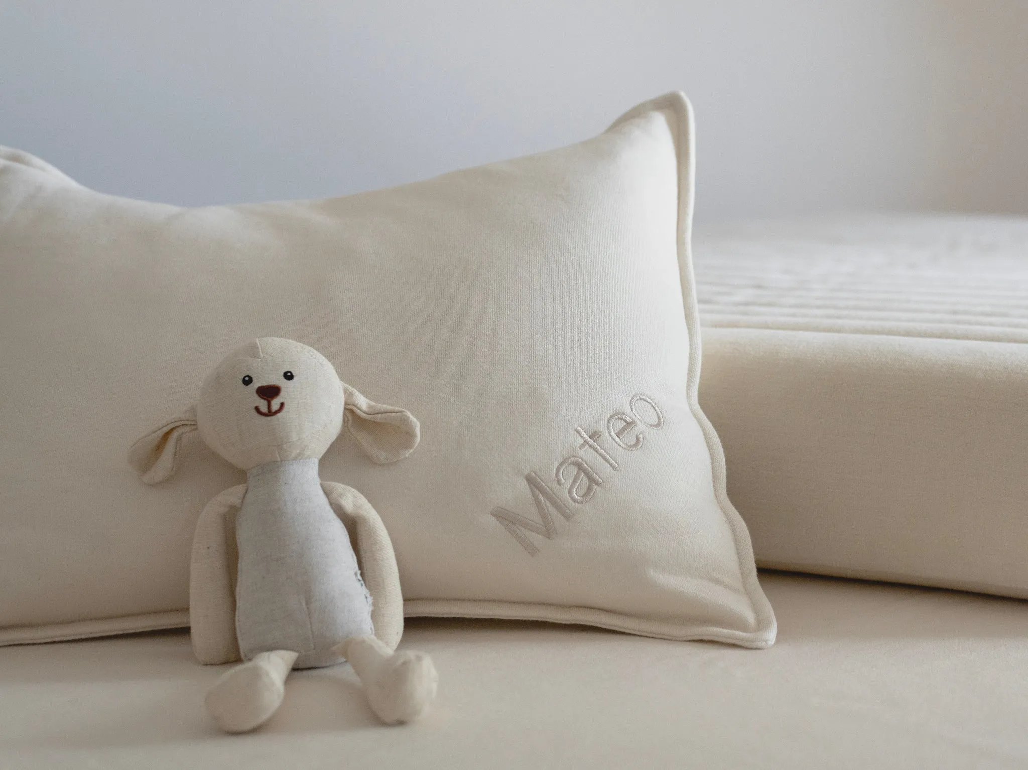 Organic Rubber Toddler Pillow
