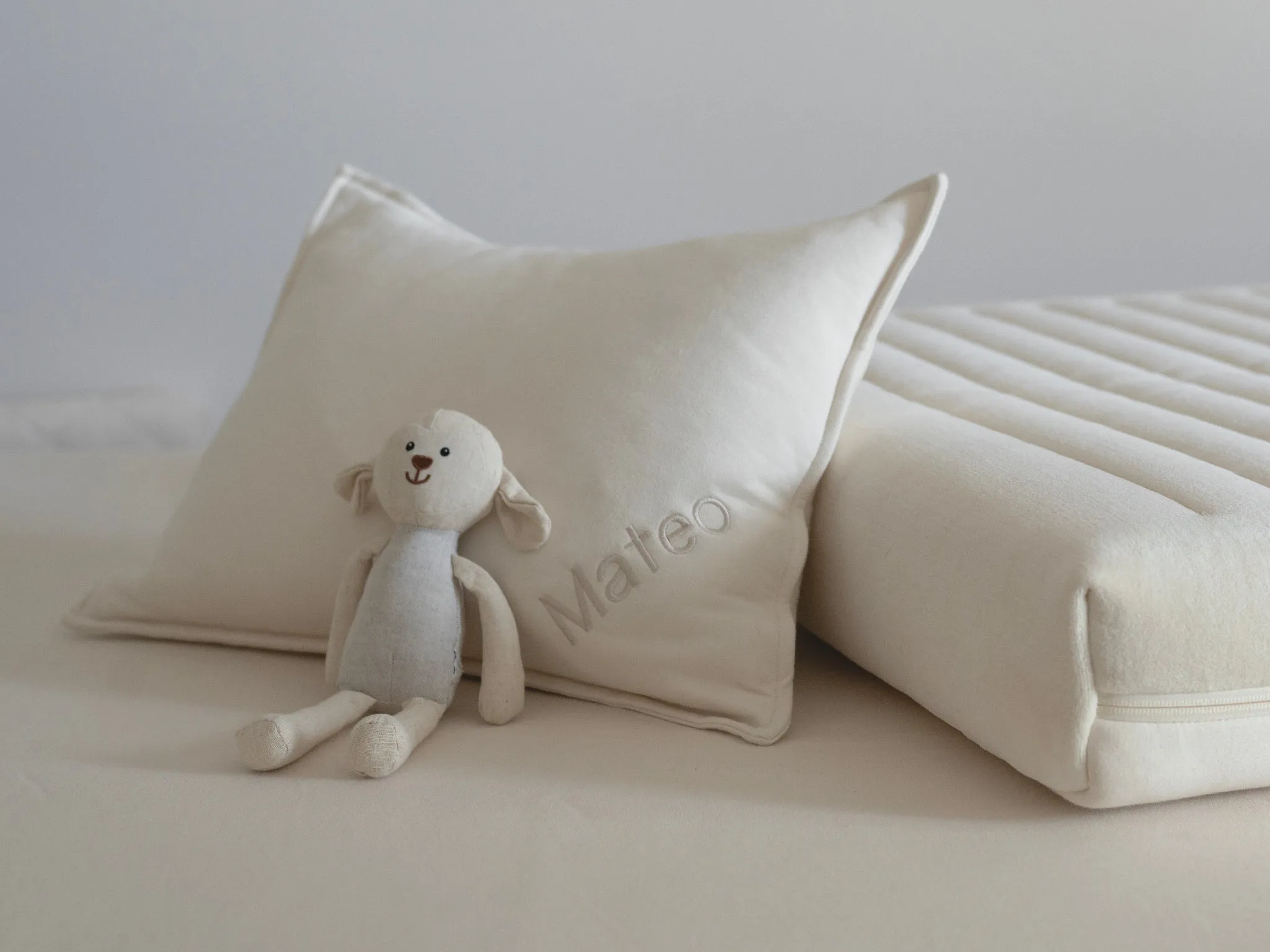 Organic Rubber Toddler Pillow