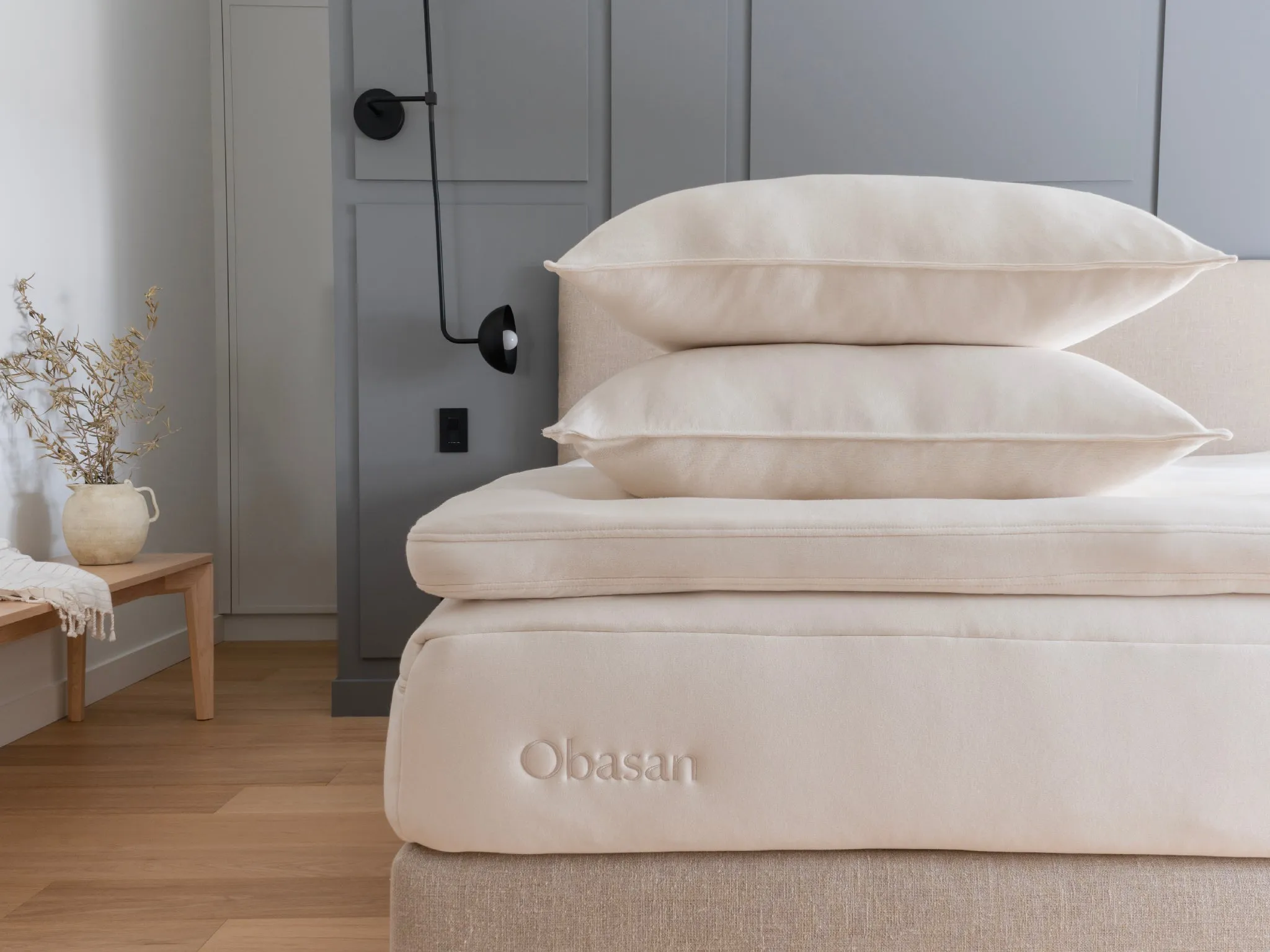 Organic Wool Pillow
